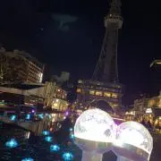 ぶー（22日〜24日発送✖️）の画像