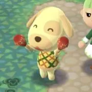 ★★★の画像
