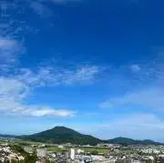 ぽんの画像