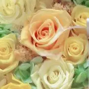えたん♡の画像