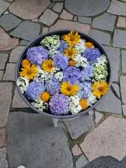 tipvariant