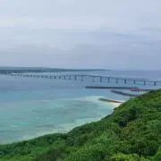 ロッキーの画像