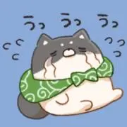 ニャン太の画像