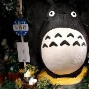 みかんの画像