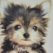 Mia
