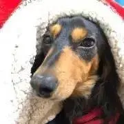 なおの画像