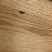 ウィルソンフィリップす