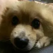 ヒロ☆★