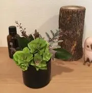 mariposa 【nui】の画像