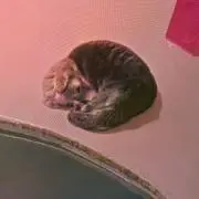 とつの画像
