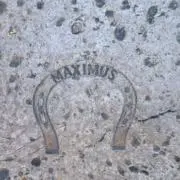 あらら