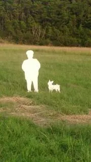 Yaa
