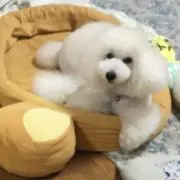 らぶっち