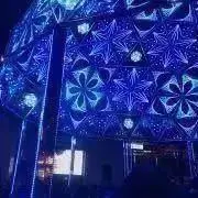 ミントの画像