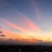 Melodyの画像