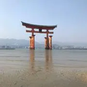 SDRの画像
