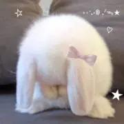 yzzの画像