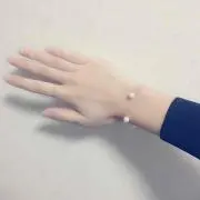 たぬきの画像