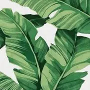 shiro/売り切りたいので超値下げ中の画像