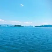 あおぴーの画像