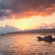 ❤marinの画像