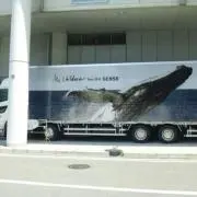 トモ
