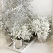 ❁ぴよこの画像