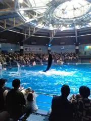 あや。おまとめ割大歓迎です！の画像