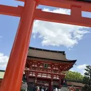 ぐらの画像