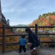 25の画像