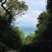 おしん