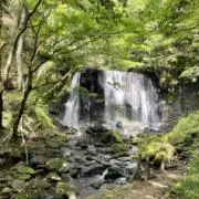 organicの画像