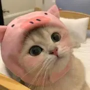 ハヤシ♡の画像