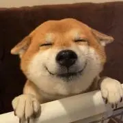 ろるの画像
