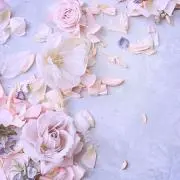 みしょうの画像