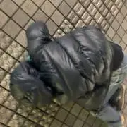 TERの画像