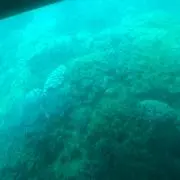 あの画像