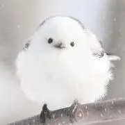 みみの画像