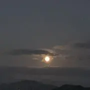 Augu
