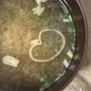 J-ri310の画像
