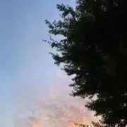 カリンちゃんの画像