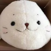 あんこ✩.*˚の画像