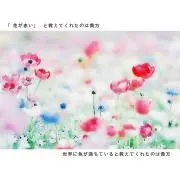 Mmの画像
