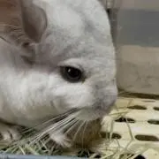 てぃ⚠️プロフ見てねの画像