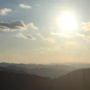 たくの画像
