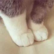 みー