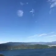 monkeyの画像