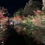 KOの画像