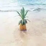 lalalala