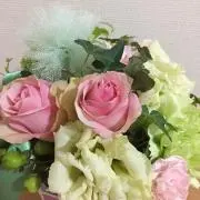 アボカドの画像